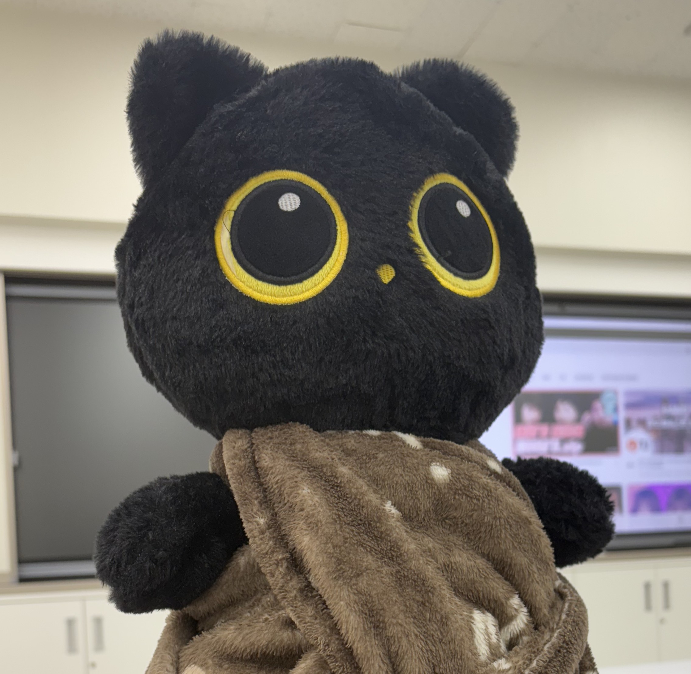 file:오지민의고양이.jpg